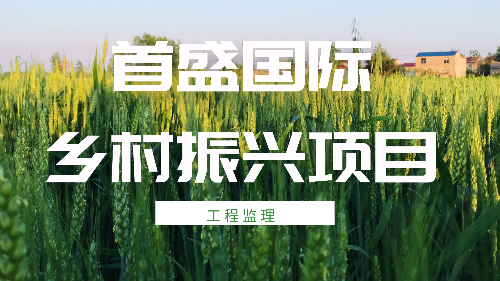 首盛國(guó)際鄉(xiāng)村振興監(jiān)理案例，資中縣鄉(xiāng)村振興脫貧攻堅(jiān)道路建設(shè)PPP項(xiàng)目