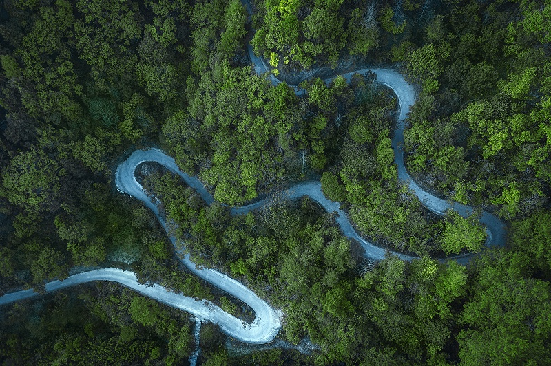 儲備林